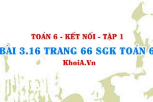 Bài 3.16 trang 66 SGK Toán 6 tập 1 Kết nối tri thức
